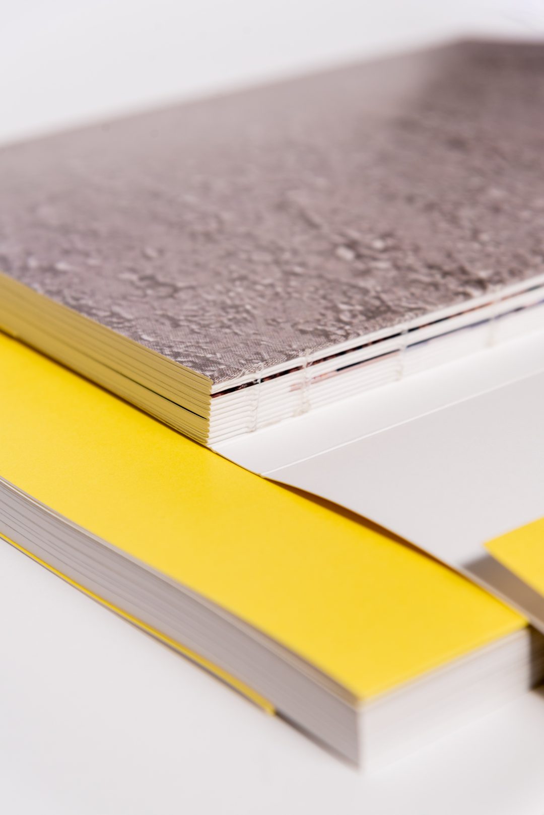 Neue alte Sorte / book